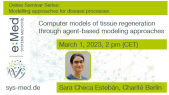 Computer models of tissue regeneration through agent-based modeling approaches